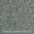 /products/robusta-project-sdn-473/
